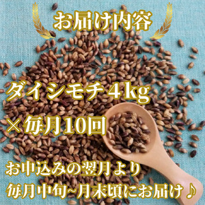CIC22_【１０回定期便】ダイシモチ４ｋｇ もち麦 キラリ もち麦ごはん