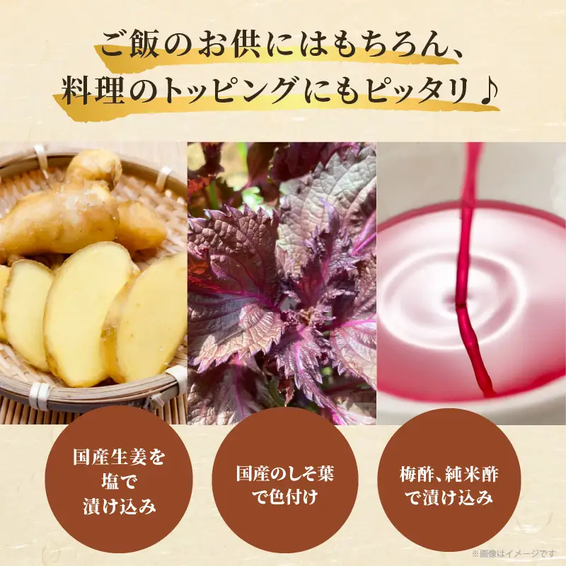 ＼ポスト投函／梅酢生姜100g おかず 漬物 野菜 加工品 国産_T037-0105