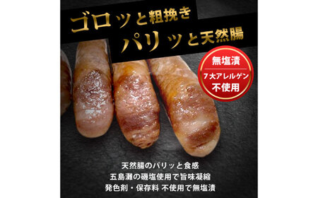 GASBO（ガスボー）計2本（100g×2本入り×1P） / 佐賀県 / 旬菜舎さと山 [41AABM033]