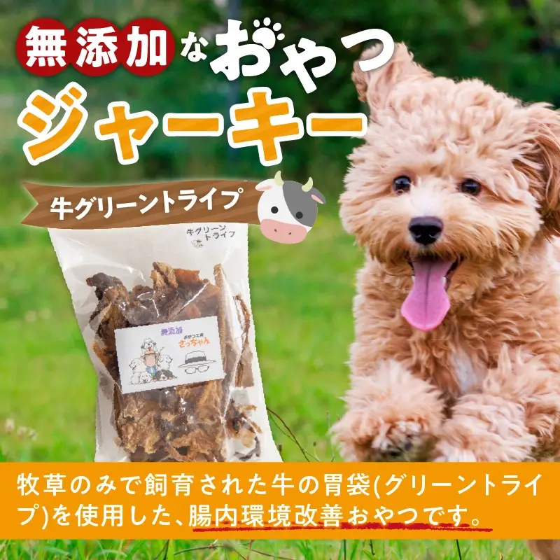 犬猫用 無添加おやつジャーキー 牛グリーントライプ（肉）[143O24]