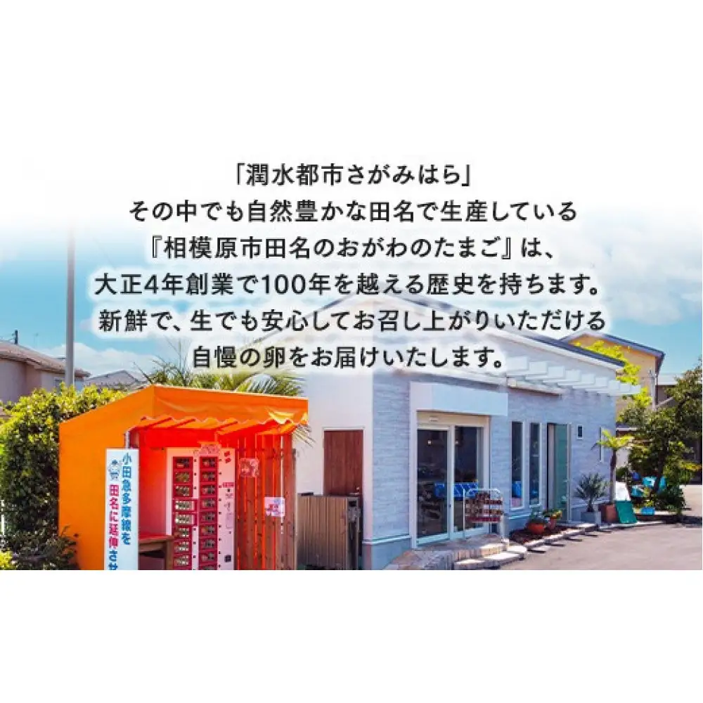 【12ヶ月定期便】【毎月後半発送】相模原市田名のおがわのたまご　ピンク卵　Mサイズ 30個(27個＋割れ補償3個)×12か月   国産 濃厚 コク 旨味｜たまご