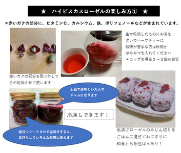 塩ローゼル自然農育ちのハイビスカスローゼル 宮崎県三股町産 風味豊かなハーブの塩漬け 栽培期間中農薬不使用 ビタミンC カルシウム 鉄 ポリフェノール