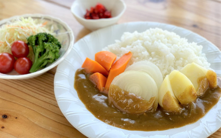 ［先行受付］自慢のカレー野菜セット【A63】【2026年11月上旬～12月下旬発送予定】