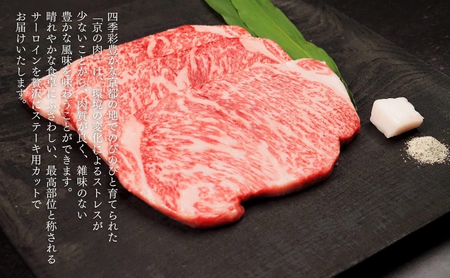 サーロインステーキ 牛肉 京の肉 600g ブランド牛 牛肉