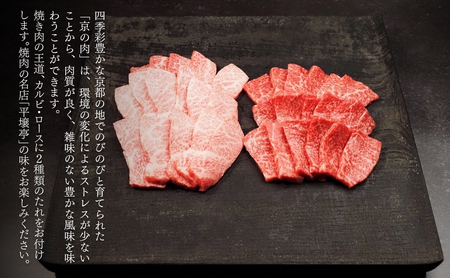 カルビ 牛肉 ロース 食べ比べセット 京の肉 500g 牛肉
