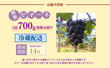ぶどう ピオーネ 1房 ぶどう