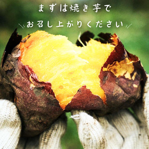 さつまいも 5kg 産地直送 さつまいも