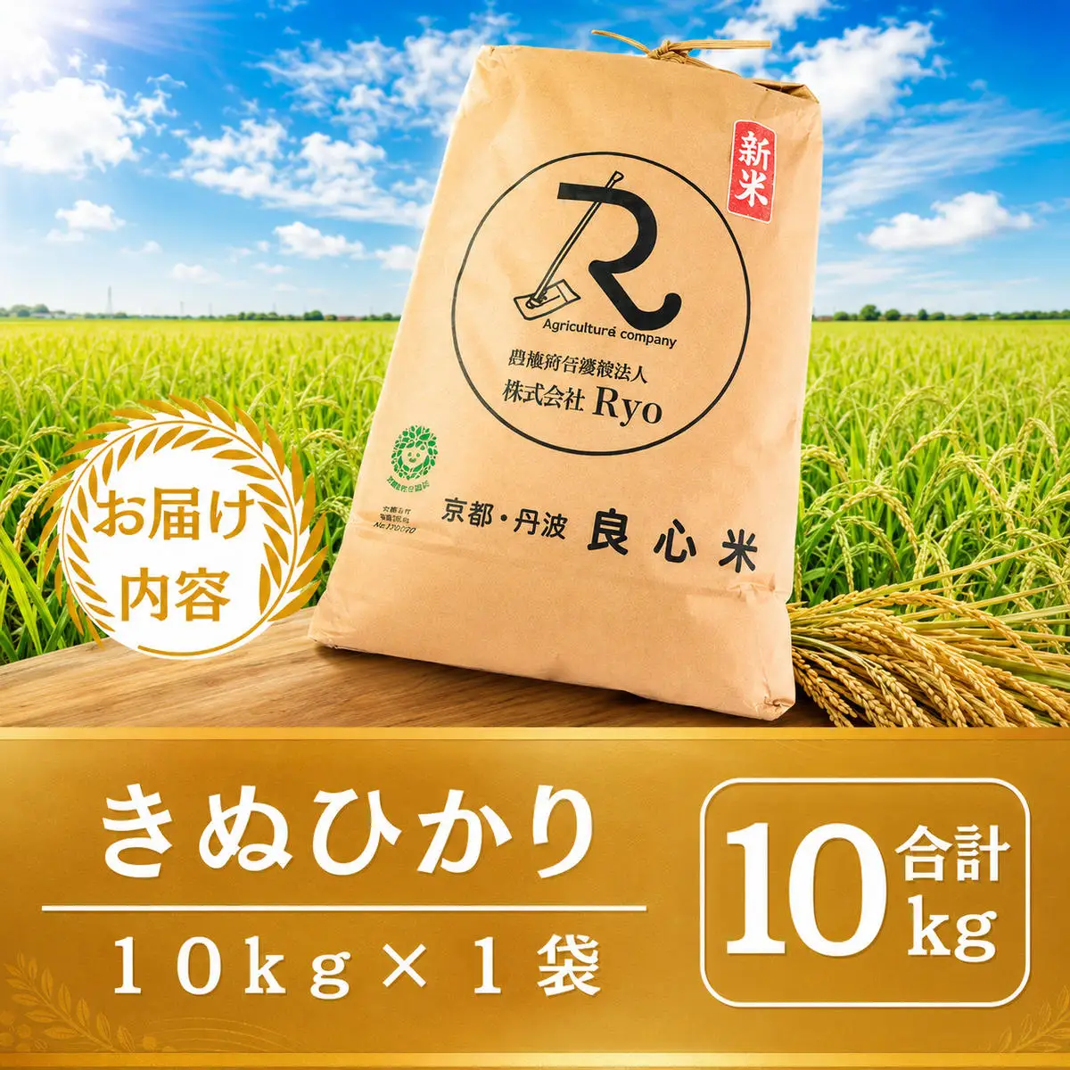 キヌヒカリ 10kg 米 お米 京都丹波産 キヌヒカリ