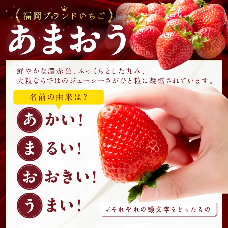 【2027年先行予約】あまおうデラックス(4パック)【044-0075】