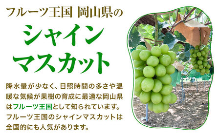 シャインマスカット 粒カット ばら 約2kg (2袋入り)