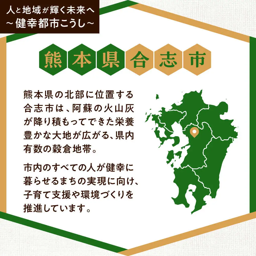【応援寄附金】熊本県合志市 1口 5万円 返礼品なしのご寄附　【合志市役所】[AYBZ002]