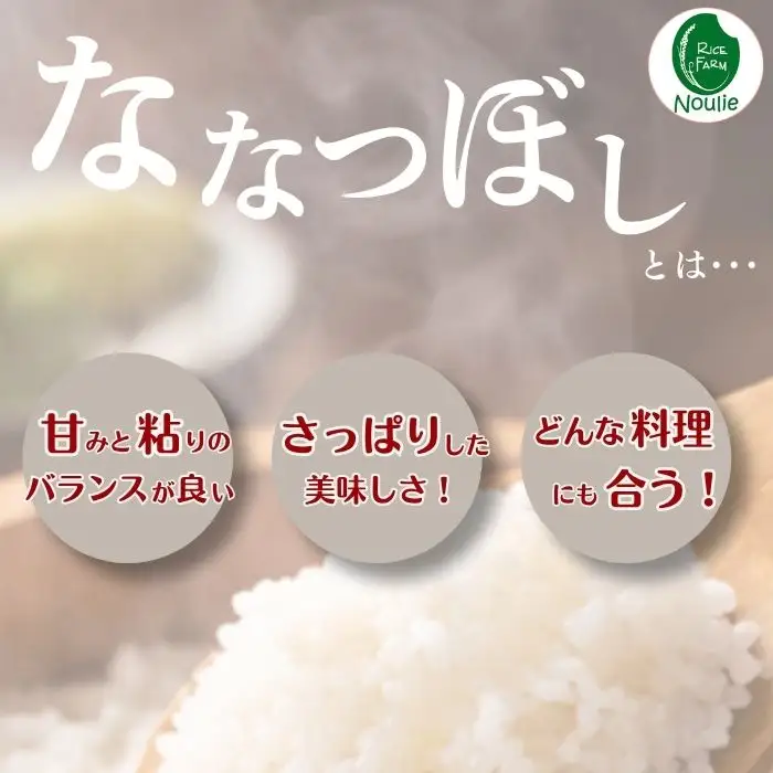 令和7年産【農業生産法人ノウリエ】北海道産 ななつぼし 玄米 10kg【10月から11月上旬発送】米 お米 北海道米 特Aランク 国産 コメ 北海道 比布町 ぴっぷ