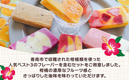 【２回定期便】手作りアイスキャンディー １２本セット 【 アイスキャンディー 定期便 アイスキャンディー 定期便 アイスキャンディー 定期便 アイスキャンディー 定期便 】 Wys-0017