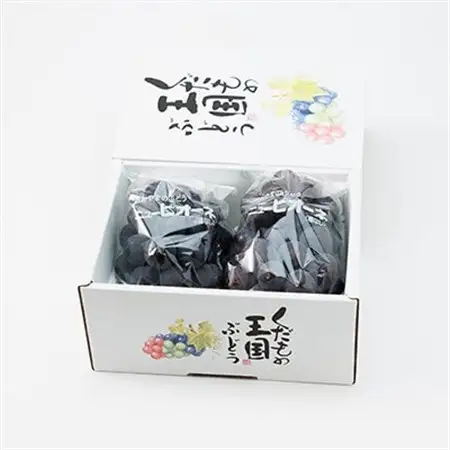 【2026年8月より発送】訳あり家庭用　岡山県産ニューピオーネ約1.2kg(2房)【配送不可地域：離島】【1612618】