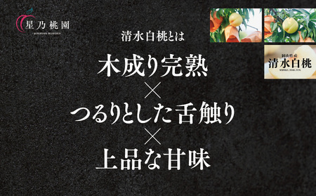 先行受付【清水白桃】岡山県産 三つ星 星乃桃園 1.5kg (5～6玉)【配送不可地域：離島・北海道・沖縄県】【1614285】