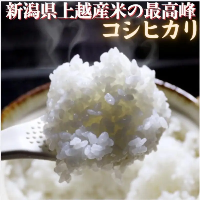 清里米遊 日本酒 コシヒカリ5kgセット 清里米遊 上越産