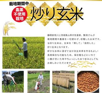 炒り玄米1kg　栽培期間中農薬不使用　静岡市葵区産□