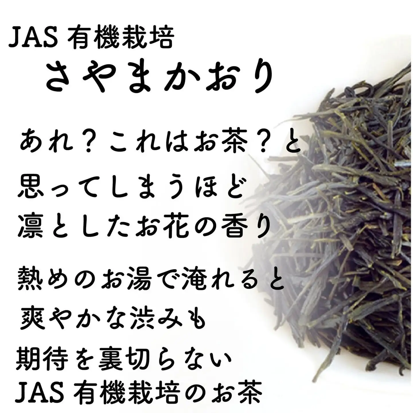 静岡市清水区の有機栽培品種茶2種セット かなやみどり100ｇ さやまかおり100ｇ 静岡茶 静岡県産