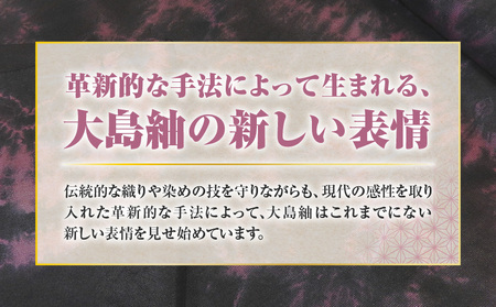【 本場奄美大島紬 】 絞り染め 黒・牡丹色 A019-005 大島紬 奄美大島紬 着物 伝統工芸品 伝統 工芸品 衣類 おしゃれ 洋服 スーツ 原絹織物 ふるさと納税 鹿児島 奄美市 おすすめ ランキング プレゼント ギフト