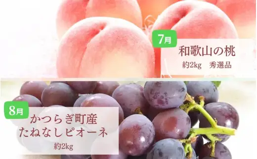 フルーツ 定期便 【全6回】/ 桃 ピオーネ 極早生みかん たねなし柿 富有柿 有田みかん / 和歌山 甘い 果物 【tec-tkb001】
