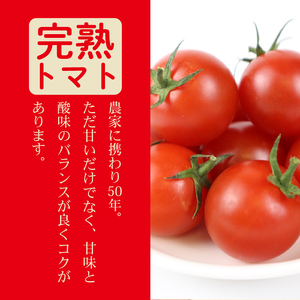 ミニトマト 1kg (500g×2回) 訳あり 定期便 【ミニトマト】 山本農園