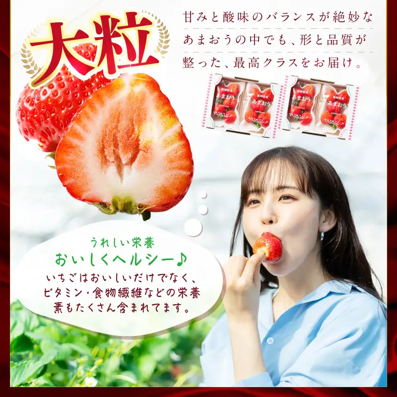 【2027年先行予約】厳選大粒あまおう(約250-270gx2パック)【044-0085】