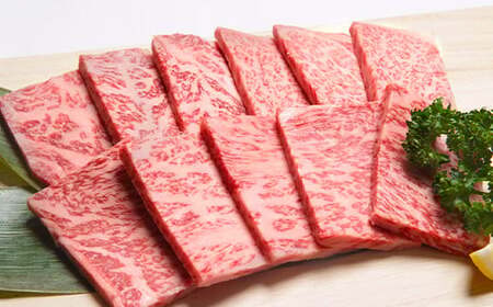 福岡県産 A5 博多 和牛 ロース 焼肉用 600g(300g×2パック) 冷凍 