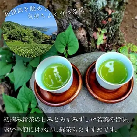 初摘み新茶3袋セット 相模湾のミネラルで育つ茶葉!　香り豊かに、色鮮やかに♪【先行受付】【1617067】