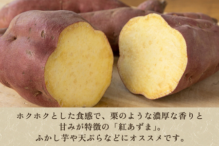 【家庭用】紅あずま 4.5kg（A品・B品混在） 七谷産 さつまいも《順次発送》