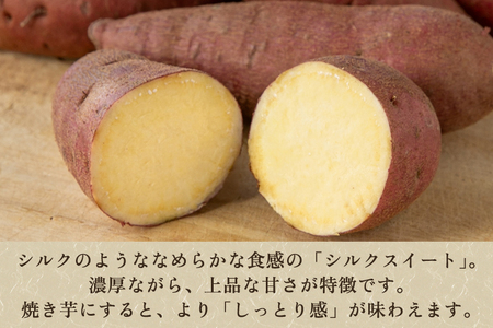 【家庭用】シルクスイート 1kg（A品・B品混在） 七谷産 さつまいも《順次発送》
