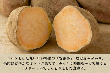 【家庭用】安納芋 1kg（A品・B品混在） 七谷産 さつまいも《順次発送》
