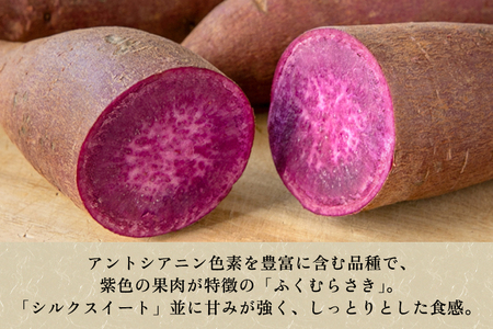 【家庭用】ふくむらさき 1kg（A品・B品混在） 七谷産 さつまいも《順次発送》
