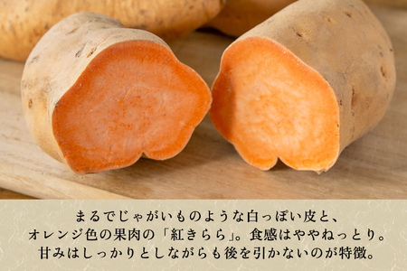 【家庭用】紅きらら 4.5kg（A品・B品混在） 七谷産 さつまいも《順次発送》
