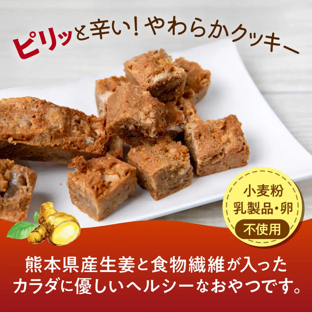 令和8年熊本地震復興支援 ほんきのしょうがおなかクッキー クッキー[AYAD005]