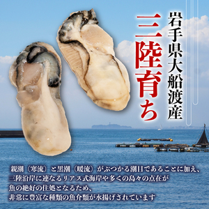 訳あり 牡蠣 むき身 加熱用 1kg 冷凍