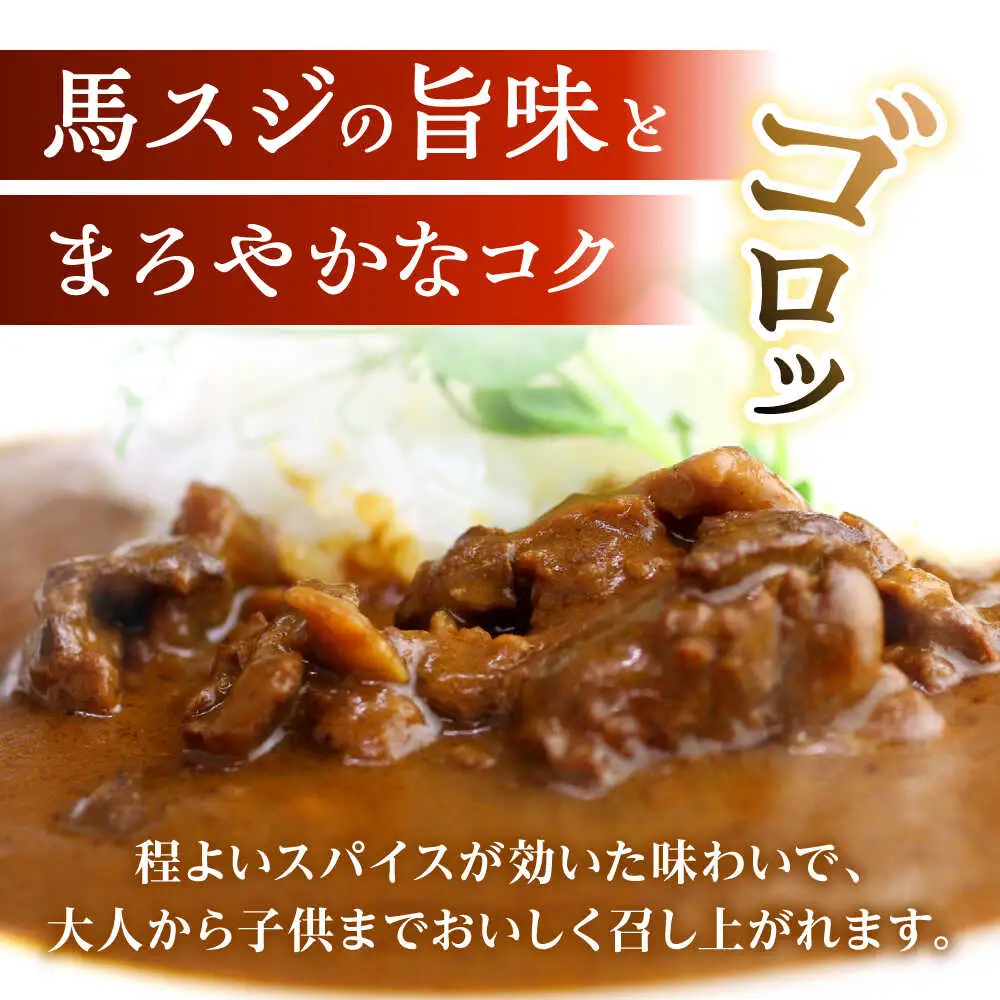 馬スジのカレー 10食 210g×10 計2.1kg カレー[AYAF027]