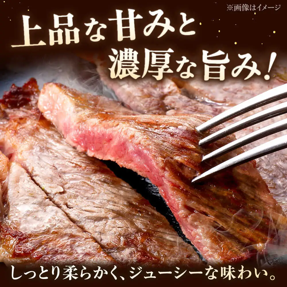 【A5-A4等級】博多和牛 サーロイン ステーキ 2枚（計500g） [ADBZ017] サーロイン