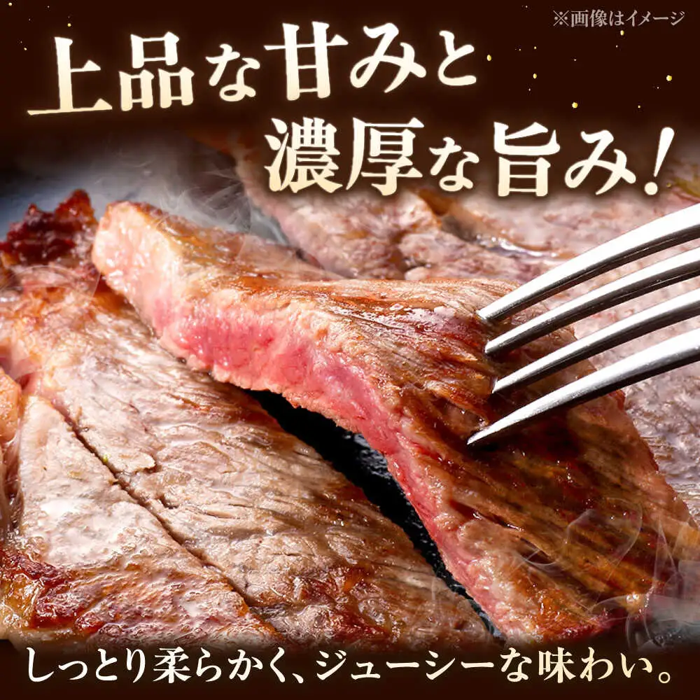 【全6回定期便】【A5-A4等級】博多和牛 サーロイン ステーキ 2枚（計500g）桂川町/株式会社チクゼンヤ [ADBZ019] ステーキ用 和牛 国産 