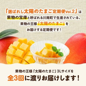 【3ヶ月定期便】【宮崎県産】選ばれし太陽のたまご定期便Vol.2 果物 マンゴー