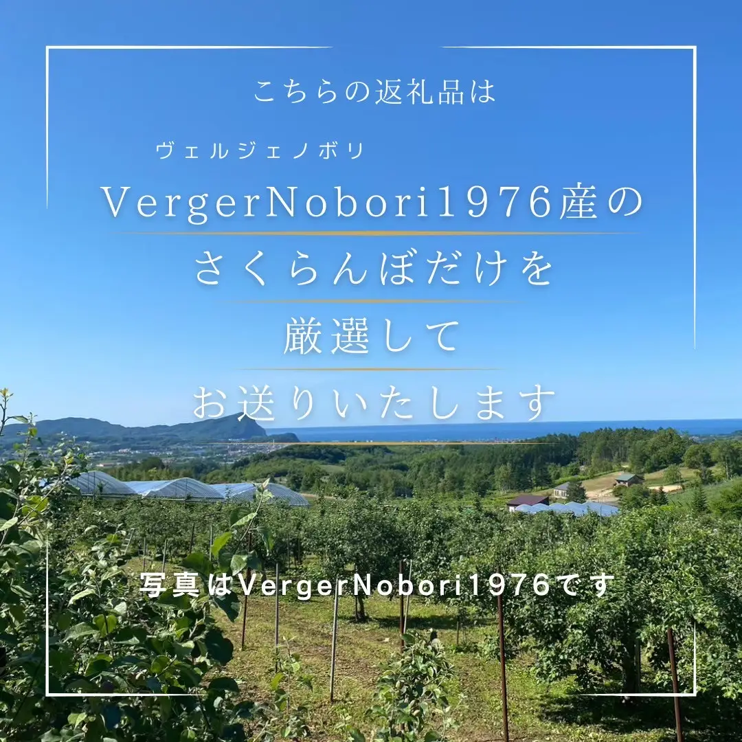桃リキュール＆山ぶどうリキュール 2本セット_Y103-0025