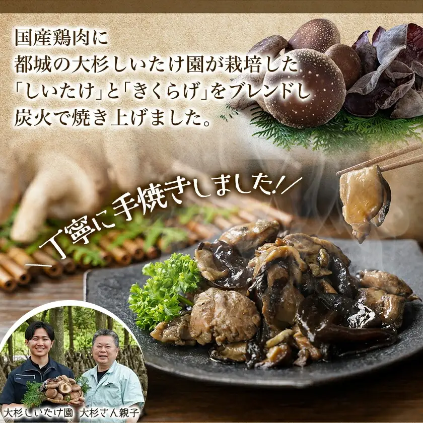 鶏ときのこ炭火焼き100g×5袋※ポスト投函〔LC-87-004-5〕_(都城市) 国産鶏肉 炭火焼き しいたけ きくらげ 加工品 レトルト加工 おかず ポスト投函