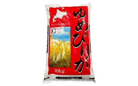 【期間限定！寄附額改定↓！】令和8年産 精米仕立て発送 北海道産ゆめぴりか 10kg 北海道 白米 米 コメ こめ お米