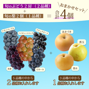 【先行受付】ぶどう2房と梨2個詰め合わせ 2026年9月下旬発送予定 果物 くだもの フルーツ ブドウ なし 葡萄 202008