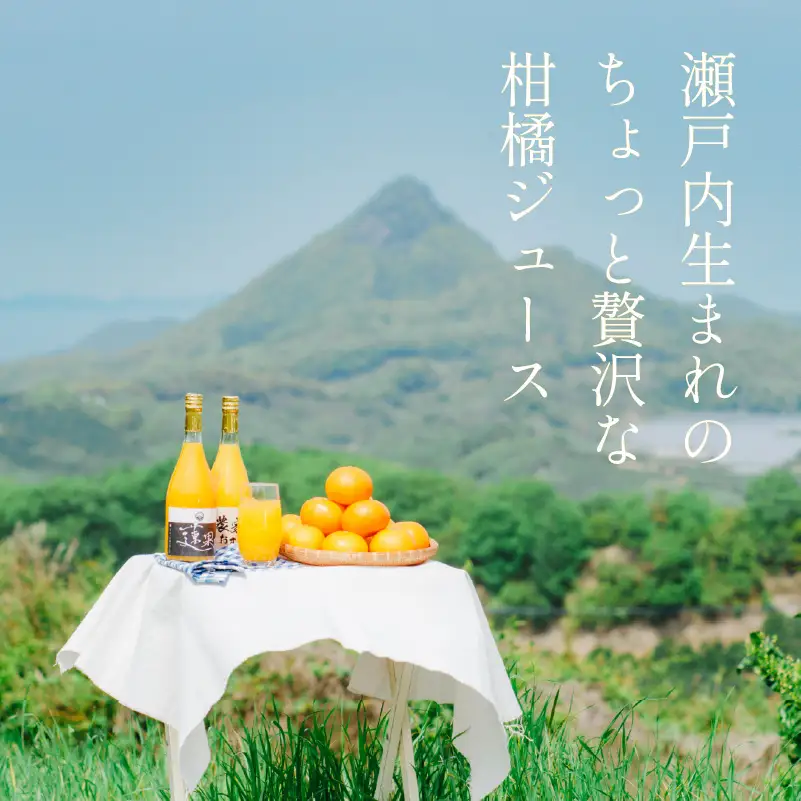 【ジュース】100％ 柑橘 ジュース 4本 家庭用 みかんジュース  【RNK018】