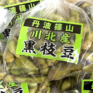 【令和8年産】丹波篠山産　川北黒大豆枝豆　500g × 2袋（枝なし） NSH003