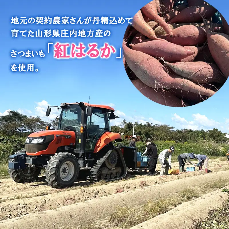 干し芋 極 2袋セット　山形県鶴岡市 まるい食品 K-713