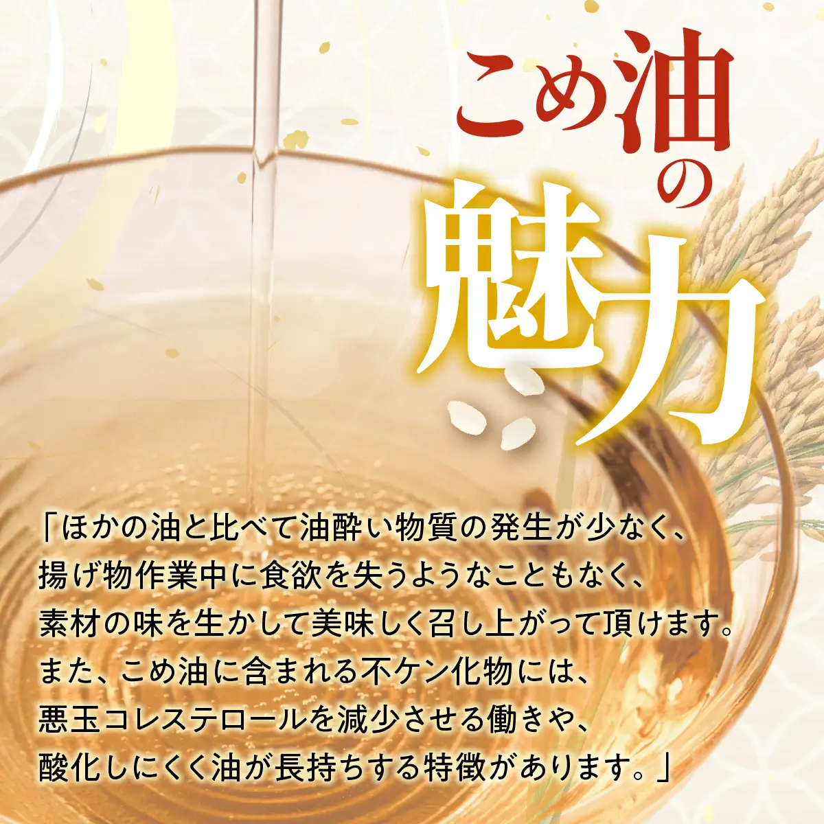 こめ油 (こめ油500g×5本)セット [1574f]