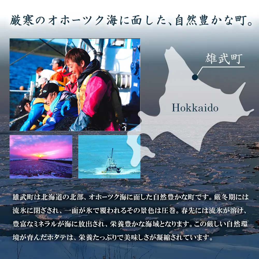 【ふるなびWEEK対象】北海道雄武町産ほたて貝柱 中小混合 200g×3 (冷凍) 使い切りパックFN-Limited-PR【0719501】