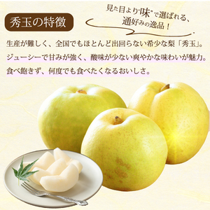【先行受付】希少品種！秀玉 梨 5kg 2026年9月中旬発送予定 果物 くだもの フルーツ なし 202017