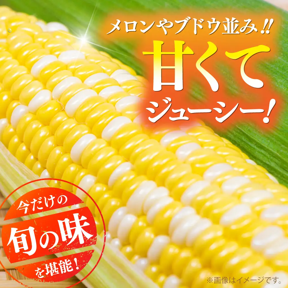 【先行予約】【2027年6月上旬より順次発送】とうもろこし 甘々娘約4kg10~11本BHCJ001 とうもろこし
